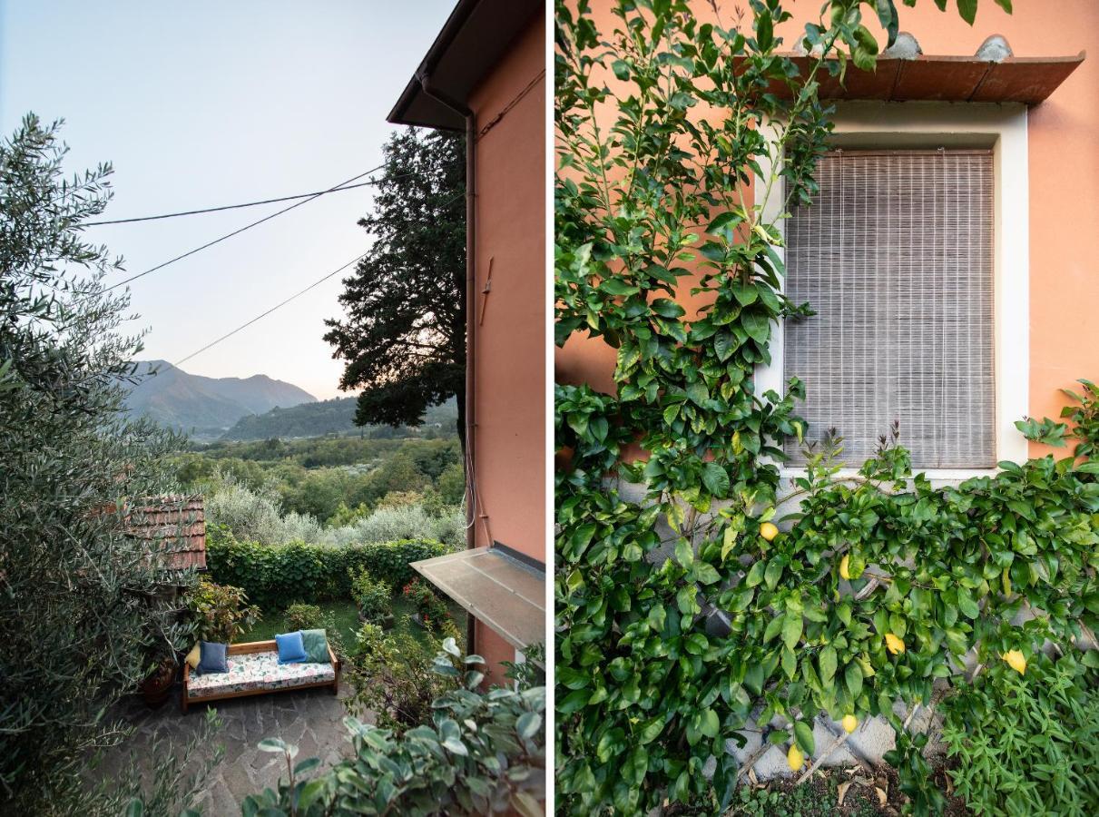 Casetta di Butia, Mimosa Apartment Borgo a Mozzano Esterno foto