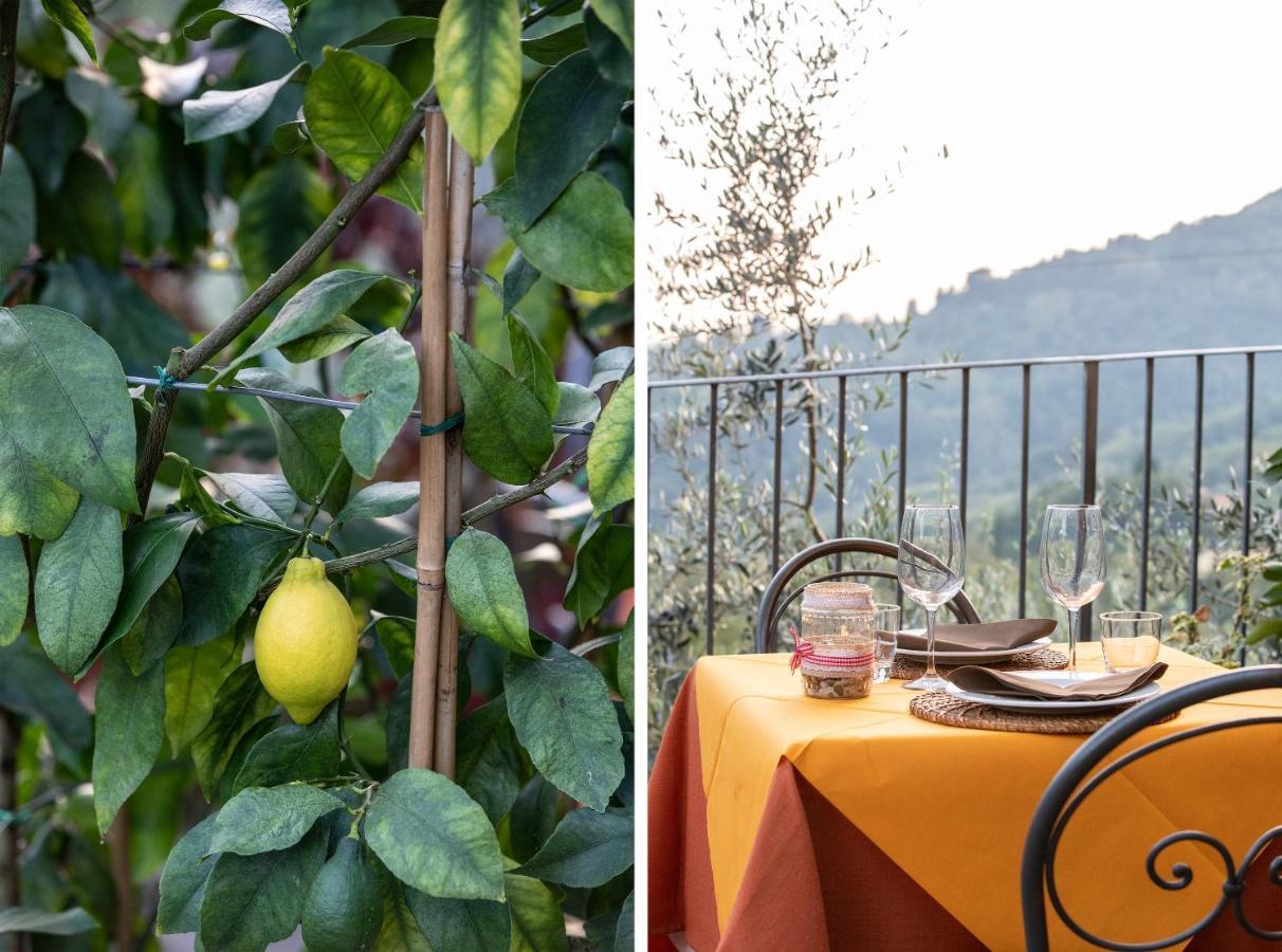 Casetta di Butia, Mimosa Apartment Borgo a Mozzano Esterno foto