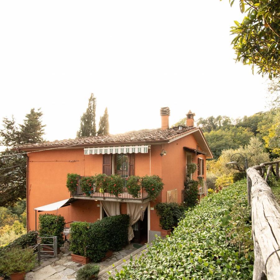 Casetta di Butia, Mimosa Apartment Borgo a Mozzano Esterno foto