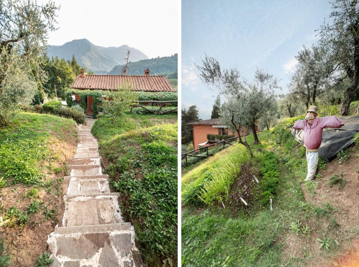 Casetta di Butia, Mimosa Apartment Borgo a Mozzano Esterno foto