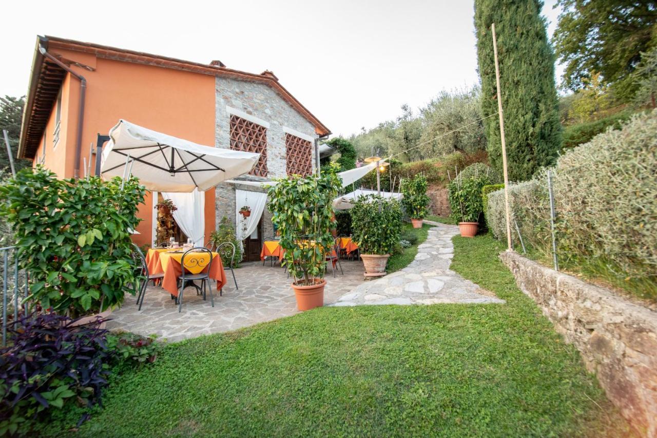 Casetta di Butia, Mimosa Apartment Borgo a Mozzano Esterno foto