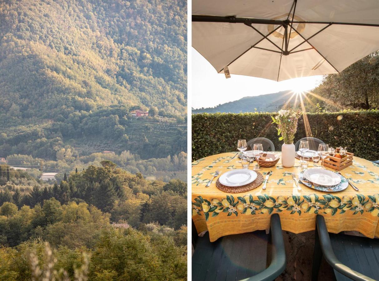Casetta di Butia, Mimosa Apartment Borgo a Mozzano Esterno foto